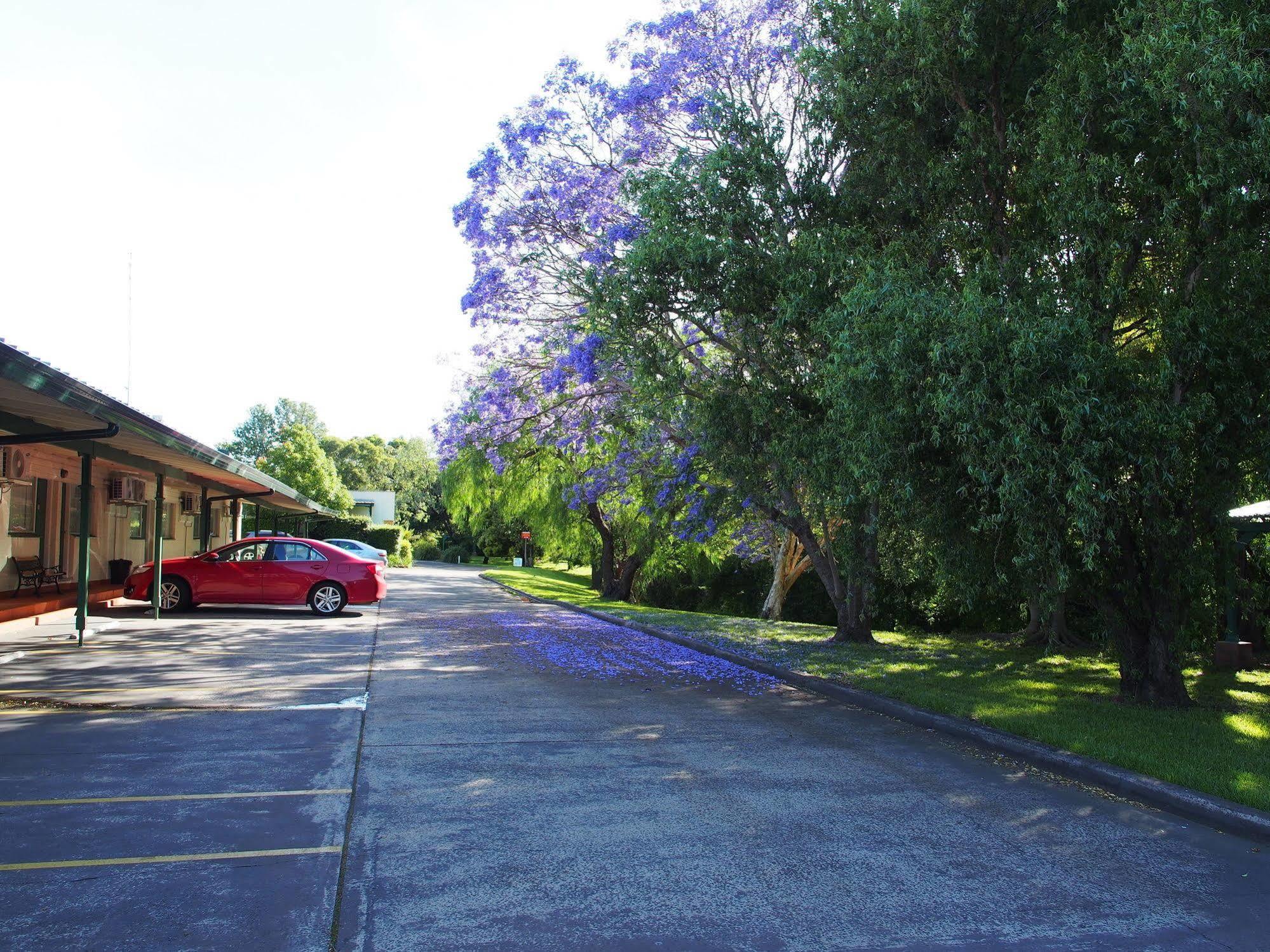 Solomon Inn Motel Figtree Wollongong Esterno foto